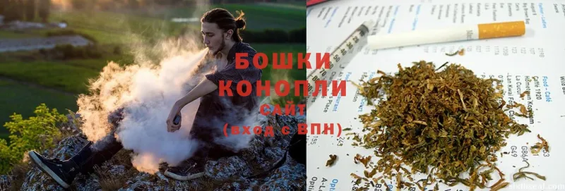 Каннабис White Widow  закладка  Беломорск 